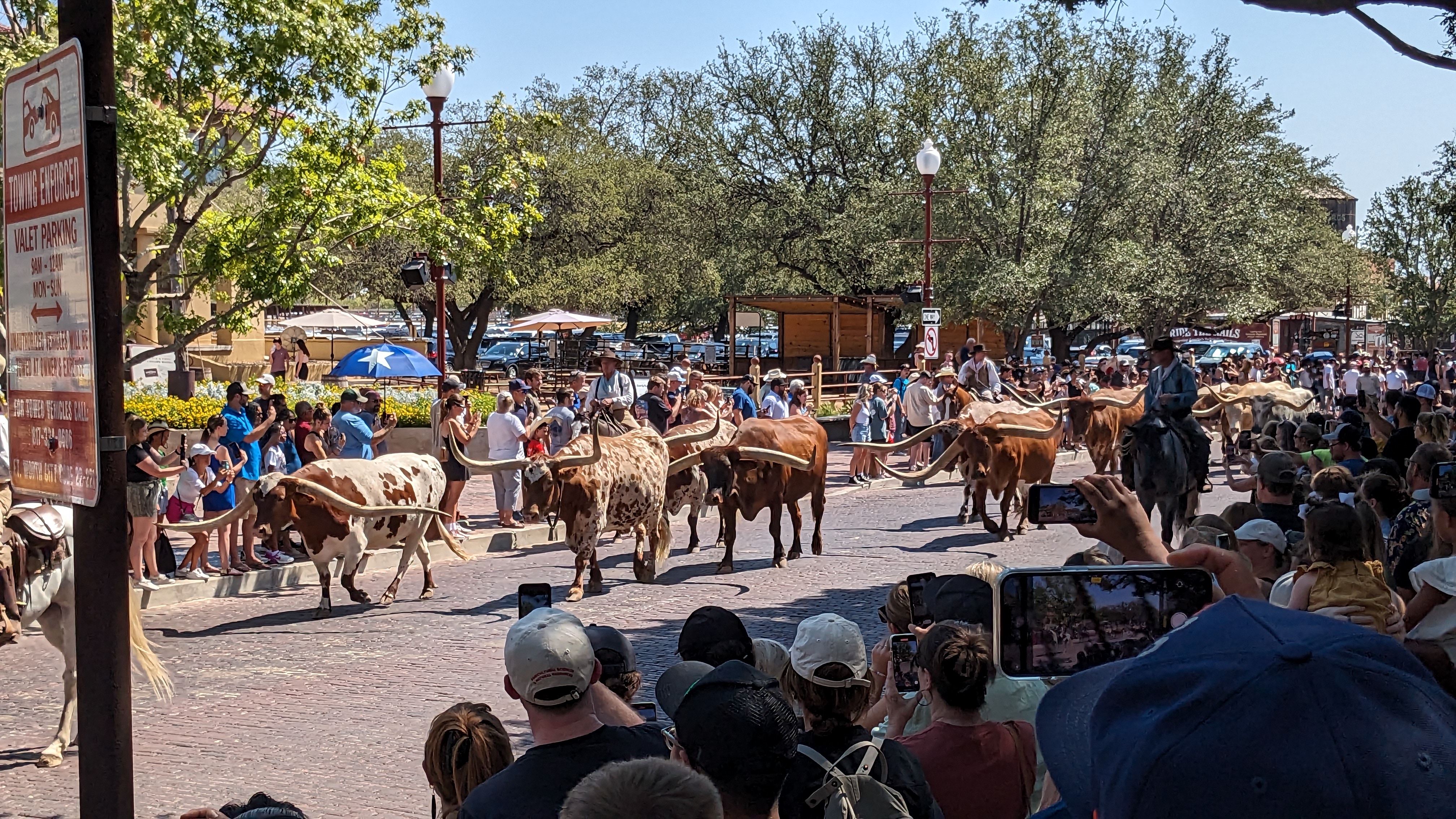 Fort Worth Stockyards